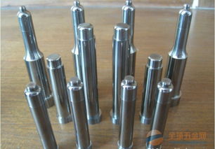 鎢鋼沖頭 鎢鋼襯套 硬質(zhì)合金異形沖針